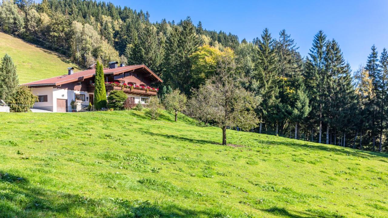 Ferienhaus Berger Mittersill Bagian luar foto