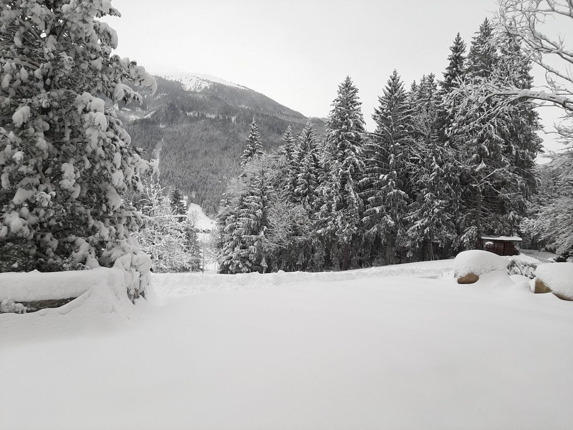 Ferienhaus Berger Mittersill Bagian luar foto
